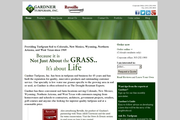 Custom theme site design template sample