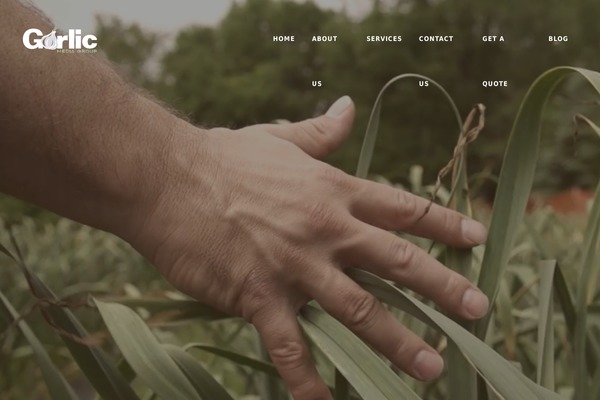 Divi-4 theme site design template sample