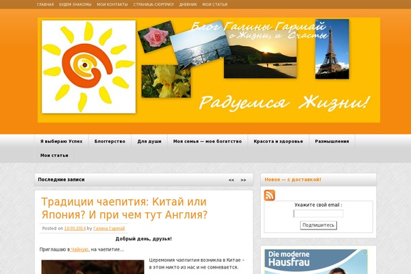 zeeNews theme site design template sample