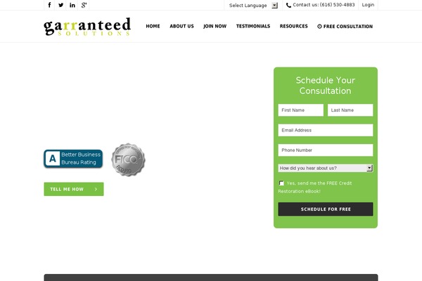 garranteedsolutions theme websites examples