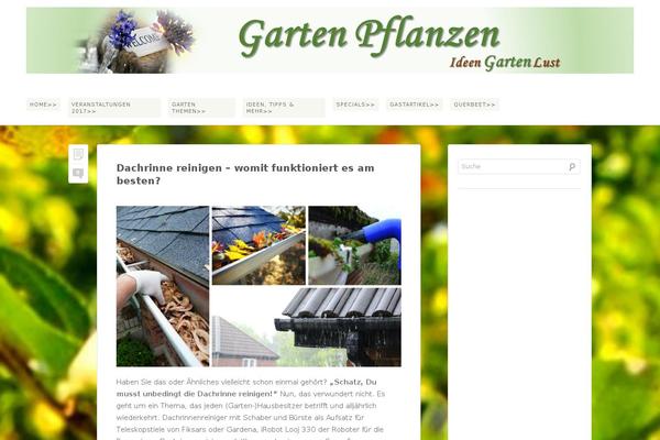 Site using Borlabs-cookie plugin