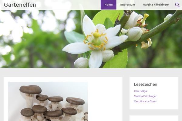 Radiate theme site design template sample