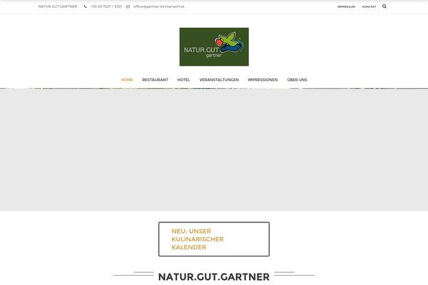 Medacorp theme site design template sample