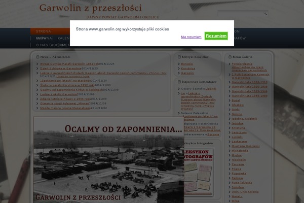 Moesia theme site design template sample