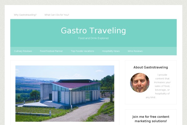 Lifestyle Pro theme site design template sample