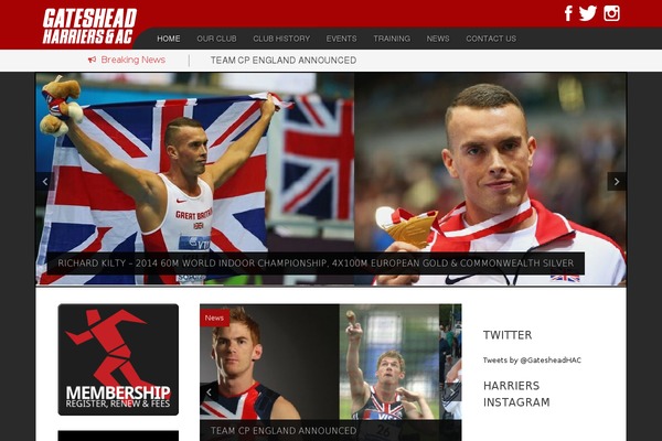 Fd theme site design template sample