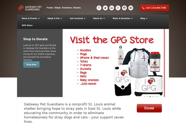 Nexus theme site design template sample
