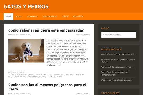 MagXP theme theme site design template sample