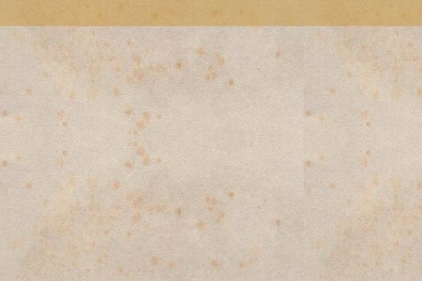 Site using Bsc-shortcodes plugin