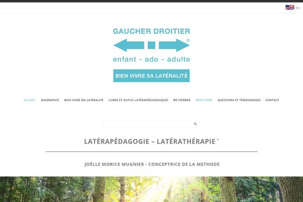 Site using Google Maps Easy plugin