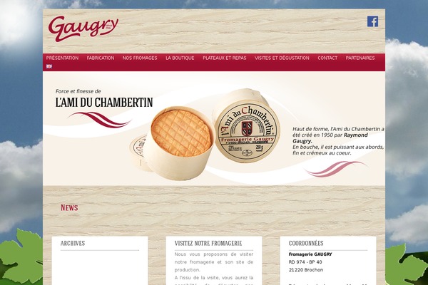 SoSimple theme site design template sample