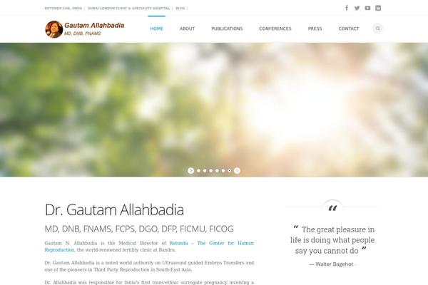 Mexin theme site design template sample