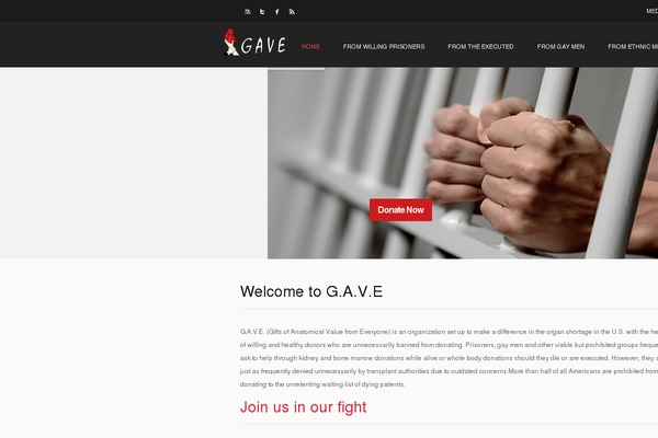 gavelife.org site used Viteeo