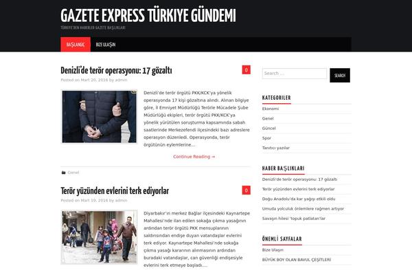 Hiero theme site design template sample