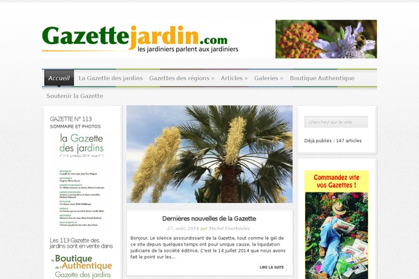 Magnificent theme site design template sample