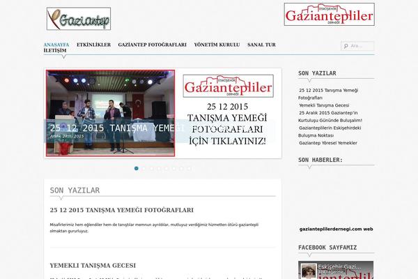 Supernova theme site design template sample