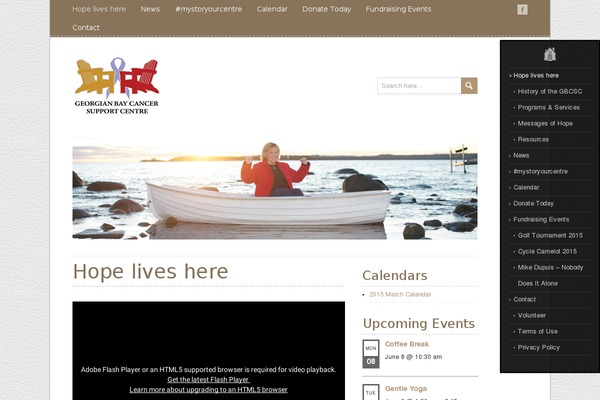 Site using Wd-facebook-feed plugin