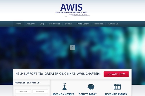 The-cause theme site design template sample