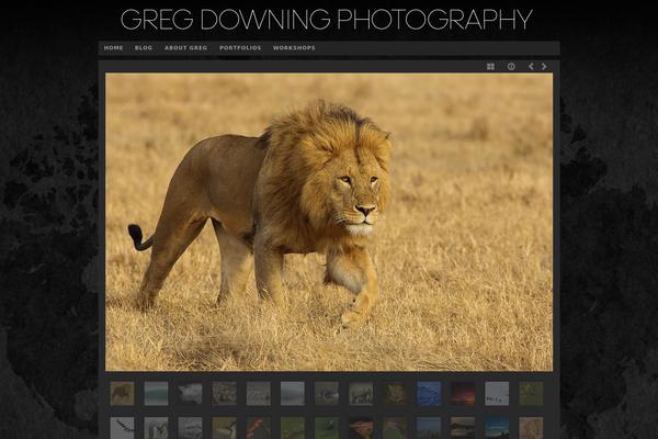 Photo-workshop theme site design template sample