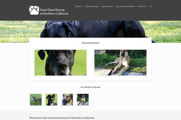 Rescue theme site design template sample