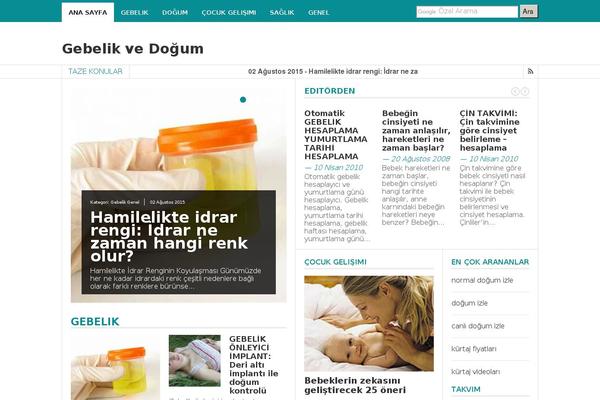 Fastnews theme site design template sample