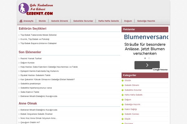 gebenet.com site used Tarihtema