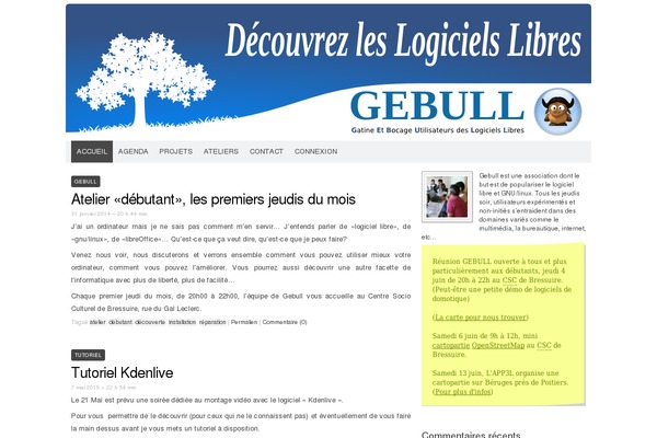 Codium Extend theme site design template sample