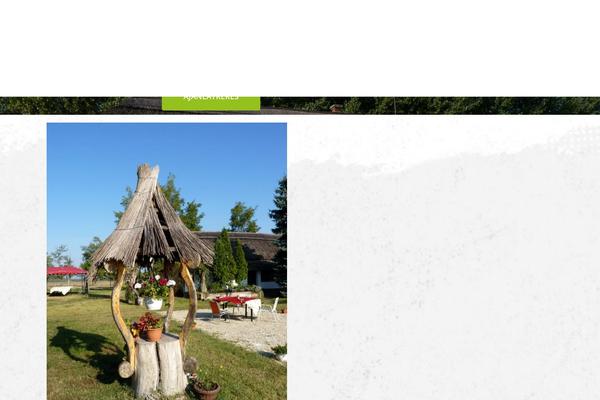 Salient theme site design template sample