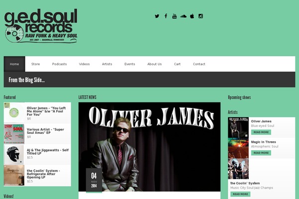 Acoustic theme site design template sample