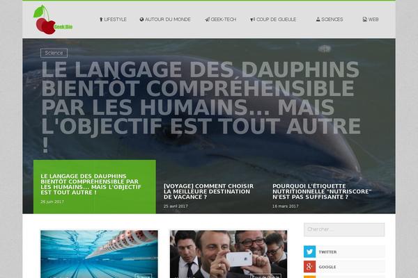 LiteMag theme site design template sample