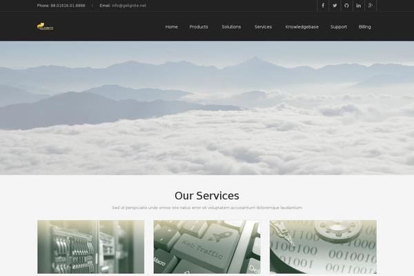 Truehost theme site design template sample