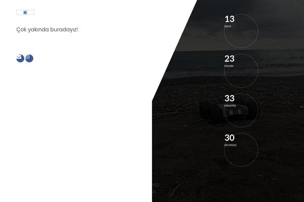 Diveit theme site design template sample