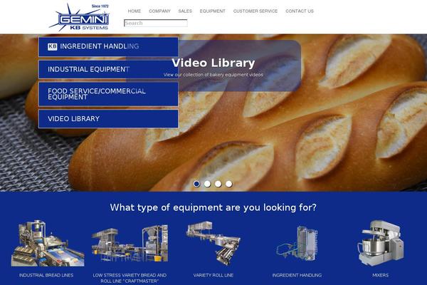 geminibe.com site used Geminibe