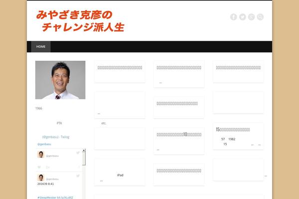 Site using Audio Player plugin