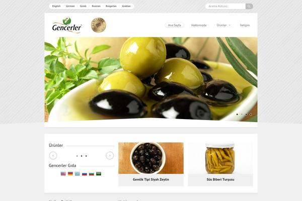gencerlergida.com site used Protek