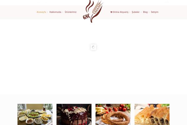 Wiz-child theme site design template sample