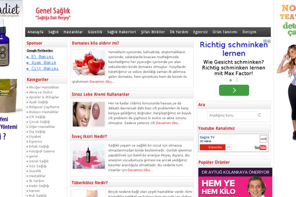 Wpt theme site design template sample