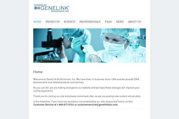Delicate theme site design template sample