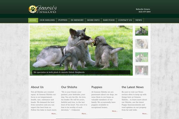 Slicetheme theme site design template sample
