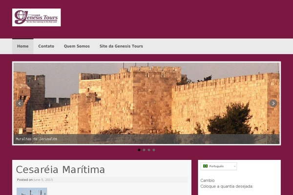 Coller theme site design template sample