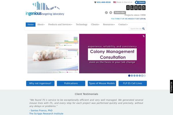 Ingenious theme site design template sample