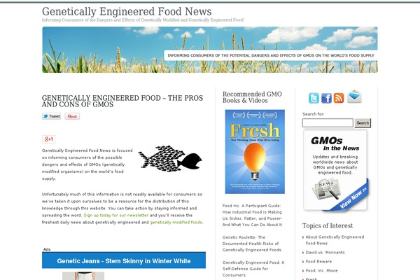 Elements of SEO theme site design template sample