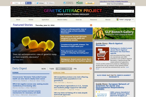 Site using Extended-widget-options plugin