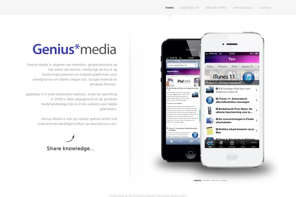 FluidApp theme site design template sample