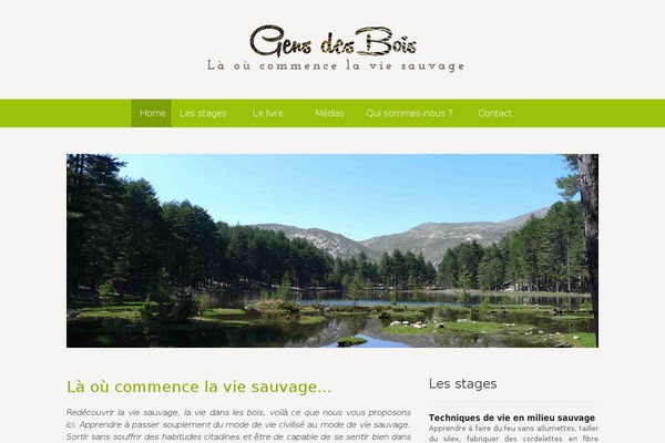 Canvas theme site design template sample