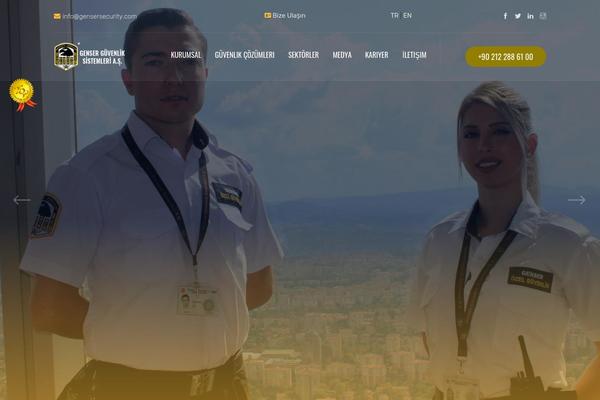 Site using Wp-news-sliders plugin