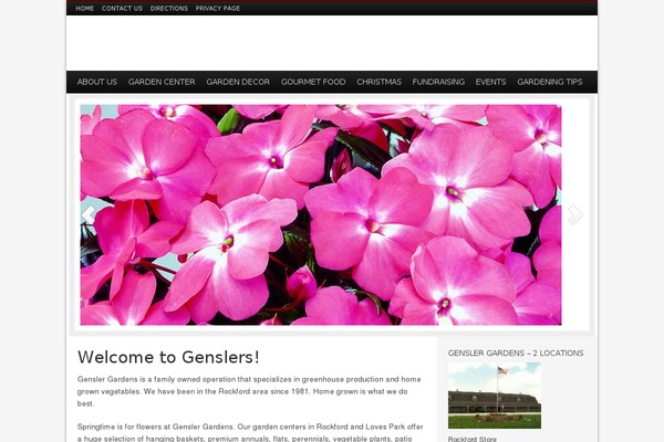 Sinatra Child Theme theme site design template sample