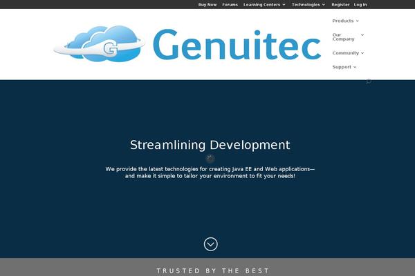 WordPress Leads website example screenshot