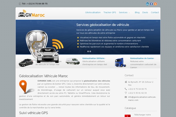 gvm theme websites examples