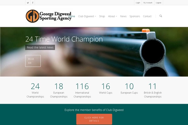Salient theme site design template sample